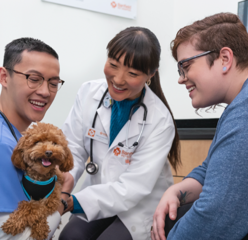 宠物医疗与护理专业介绍